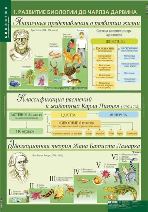 Эволюционное учение (Комплект таблиц 10 шт. Биология 10-11 кл.) 5-8702-010