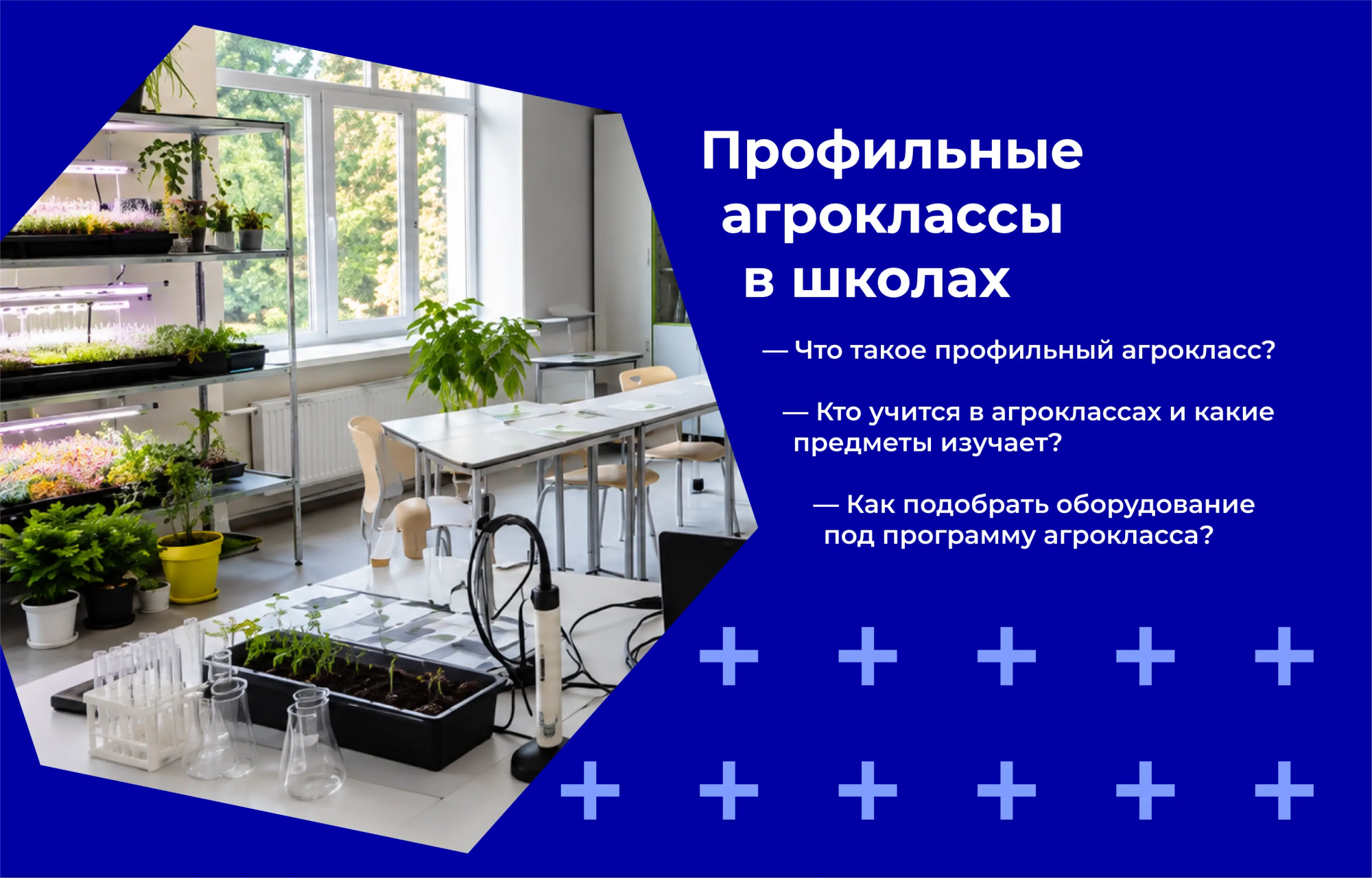Профильные агроклассы в школах: что это такое и как их оборудовать Профильные агроклассы в школах: что это такое и как их оборудовать