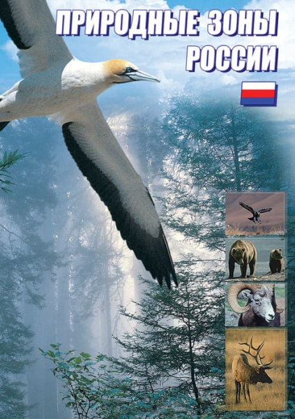 Учебный фильм. Природные зоны России (МР4) 216008304МР