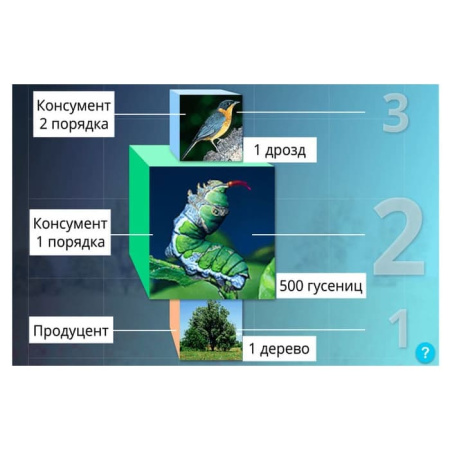 Введение в экологию. Интерактивное учебное пособие (v.5.0) (BOX. Наглядная Биология) 464-0008177357