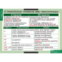 Русский язык (Комплект таблиц 19 шт. 10 кл.) 5-8661-019