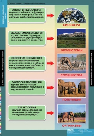 Введение в экологию (Комплект таблиц 18 шт. Биология) 5-8689-018
