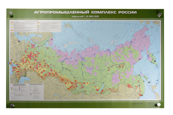 Агропромышленный комплекс России, 100x140 см (Карта. География 8-9 кл.) КН-0821