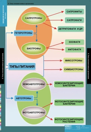Введение в экологию (Комплект таблиц 18 шт. Биология) 5-8689-018