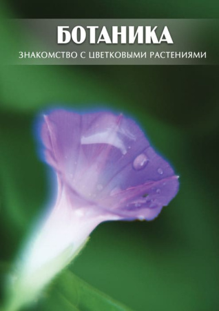 Учебный фильм. Ботаника. Знакомство с цветковыми растениями (МР4) 216025707МР