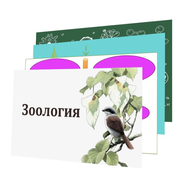 Модели-аппликации по зоологии (18 товаров)