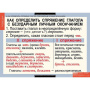 Русский язык (Комплект таблиц 14 шт. 5 кл.) 4-1123-014