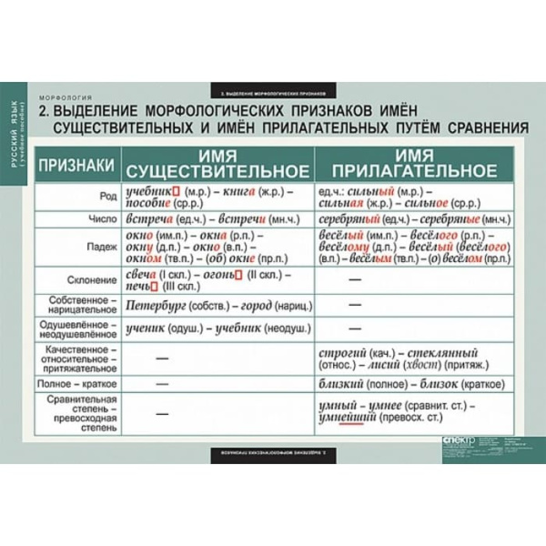 Морфология (Комплект таблиц 15 шт. Русский язык) 5-8681-015