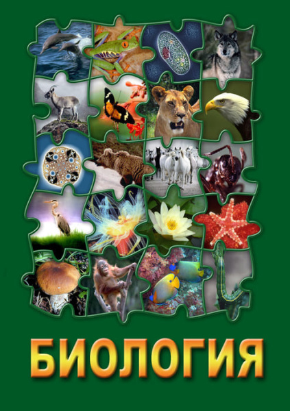 Учебный фильм. Биология-3 (МР4) 21603498-3МР