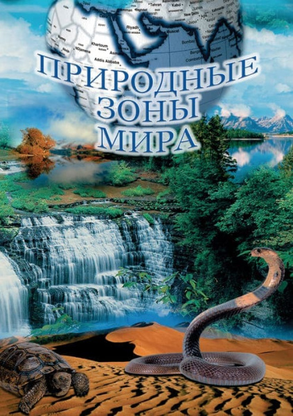 Учебный фильм. Природные зоны мира (МР4) 216021704МР