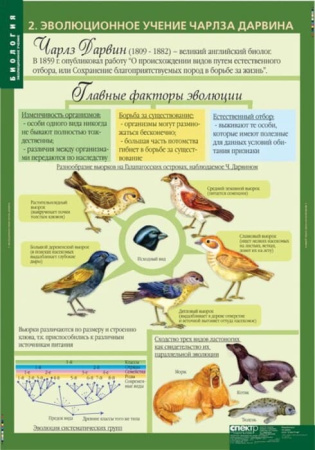 Эволюционное учение (Комплект таблиц 10 шт. Биология 10-11 кл.) 5-8702-010