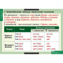 Русский язык (Комплект таблиц 19 шт. 10 кл.) 5-8661-019