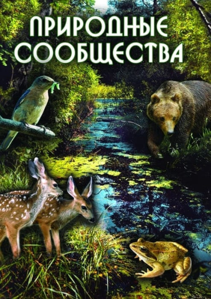 Учебный фильм. Природные сообщества (МР4) 216014809МР