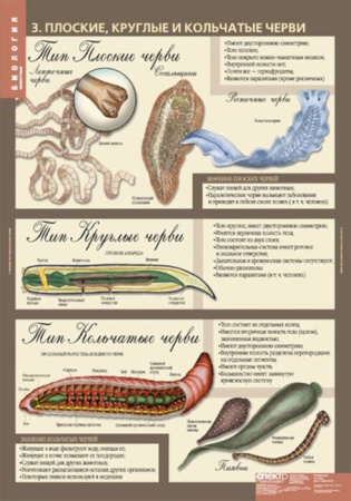 Животные (Комплект таблиц 12 шт. Биология 7 кл.) 5-8537-012