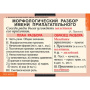 Имя прилагательное (Комплект таблиц 9 шт. Русский язык) 5-8506-009