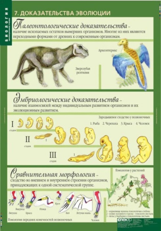 Эволюционное учение (Комплект таблиц 10 шт. Биология 10-11 кл.) 5-8702-010