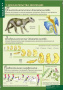 Эволюционное учение (Комплект таблиц 10 шт. Биология 10-11 кл.) 5-8702-010