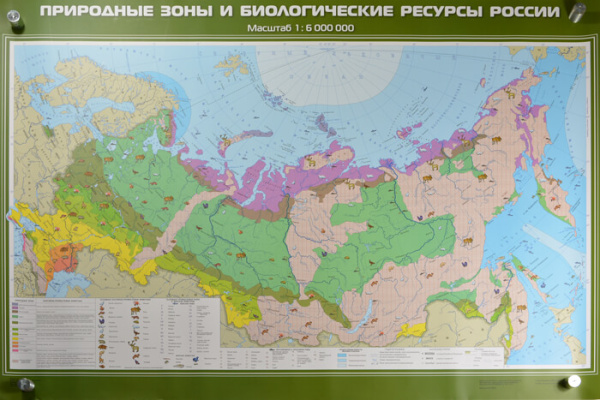 Природные зоны и биологические ресурсы России, 100x140 см (Карта. География 8-9 кл.) КН-0805