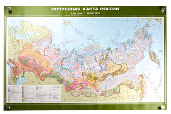Почвенная карта России, 100x140 см (Карта. География 8-9 кл.) КН-0816