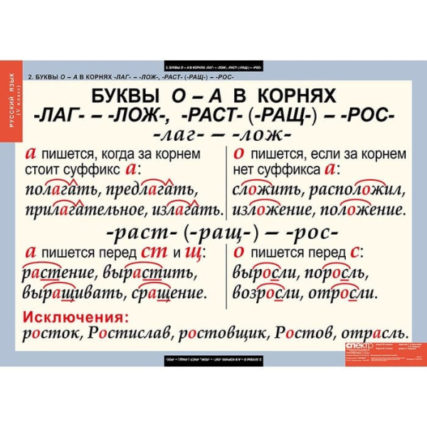 Русский язык (Комплект таблиц 14 шт. 5 кл.) 4-1123-014