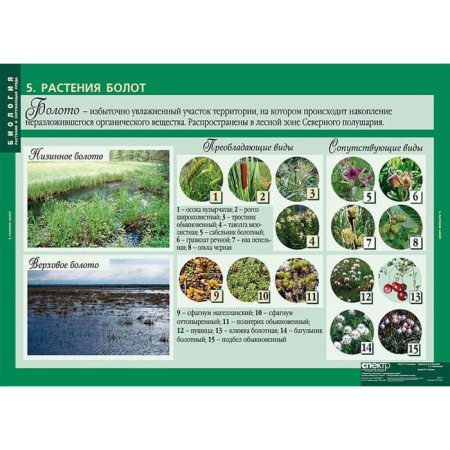 Растения и окружающая среда (Комплект таблиц 7 шт. Биология) 2-072-637