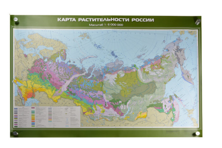 Растительность России, 100x140 см (Карта. География 8-9 кл.) КН-0806