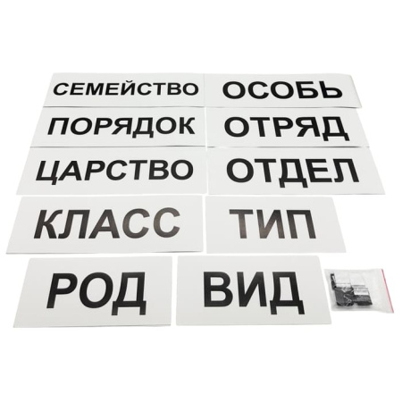 Модель-аппликация Классификация растений и животных