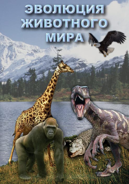 Учебный фильм. Эволюция животного мира (МР4) 216017206МР