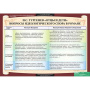 Литература (Комплект таблиц 12 шт. 10 кл.) 5-8527-012