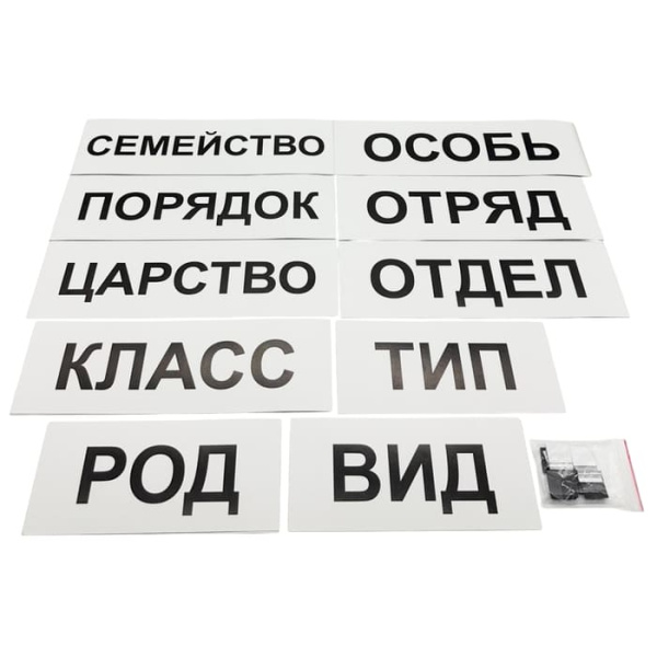 Модель-аппликация Классификация растений и животных