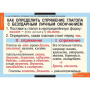 Глаголы (Комплект таблиц 6 шт. Русский язык) 5-8505-005