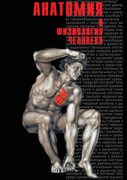 Учебный фильм. Анатомия-1 (МР4) 21600197-1МР