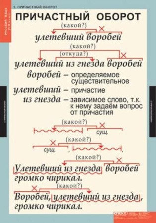 Русский язык (Комплект таблиц 7 шт. 7 кл.) 4-1140-007