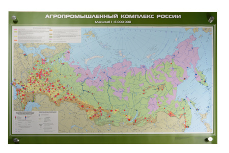 Агропромышленный комплекс России, 100x140 см (Карта. География 8-9 кл.) КН-0821
